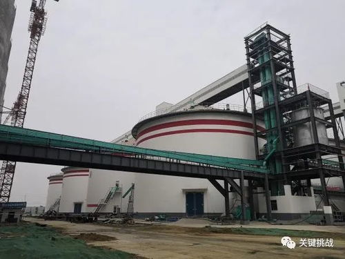 以南陽大宗農產品加工業高質量發展助推鄉村振興