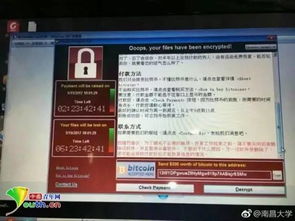 緊急安全通告 勒索病毒新型變種威脅加劇，請(qǐng)立即檢查并加固電腦防護(hù)設(shè)置